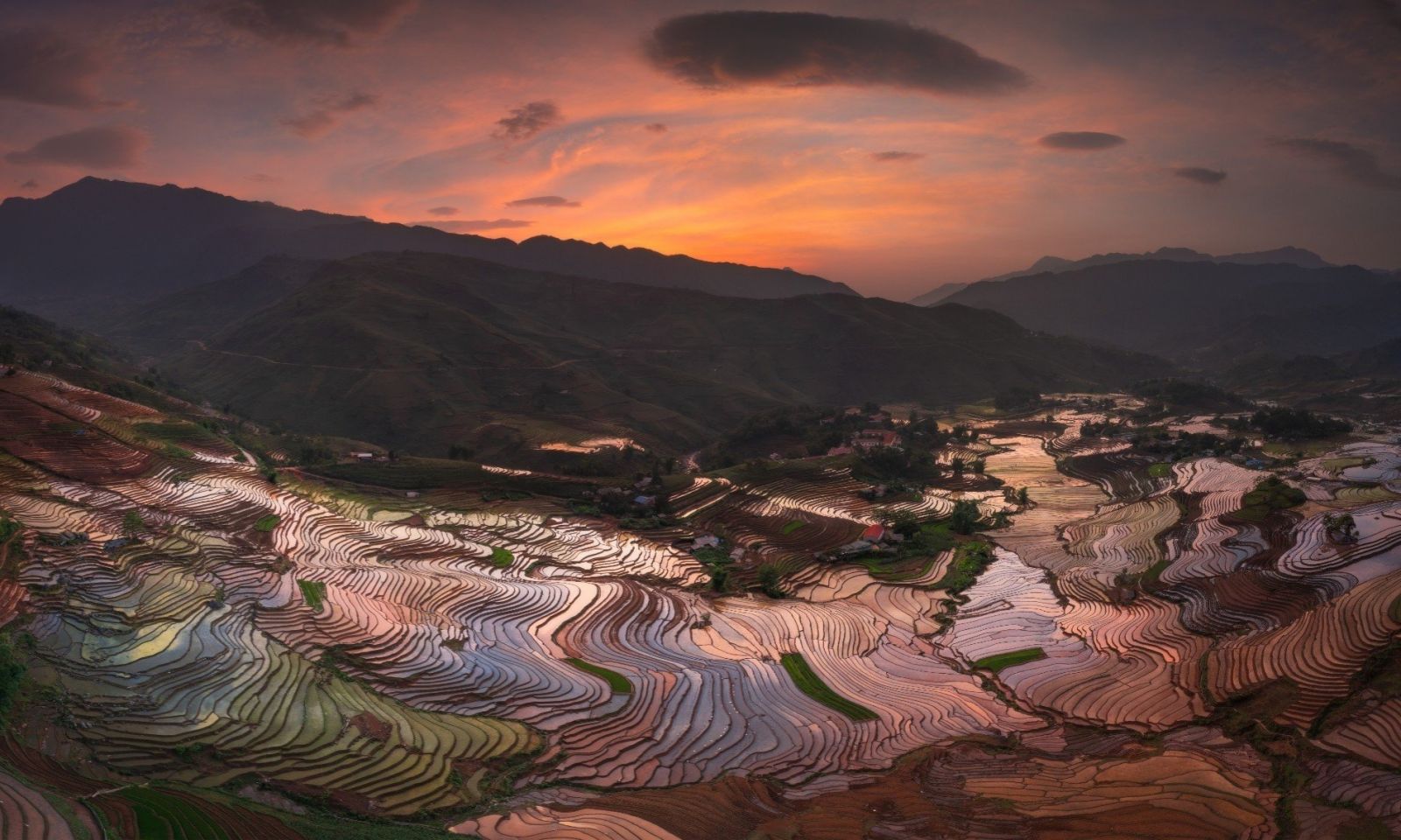 Lao Cai's Wonderous Terraced Rice Fields