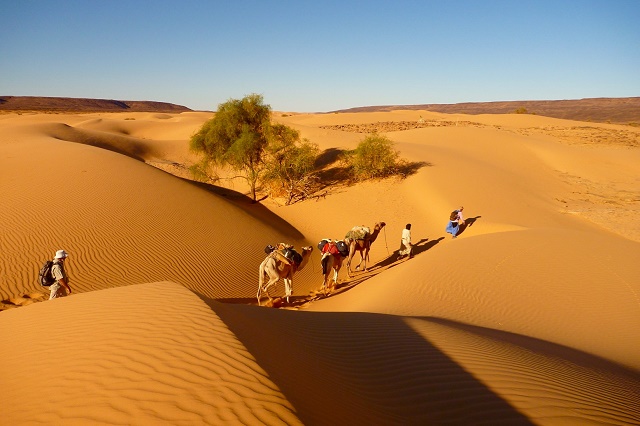 السياحة في موريتانيا وافضل المدن والقرى السياحية التي يمكنك زيارتها