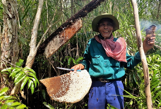 Bee luring: Cà Mau’s intangible cultural heritage