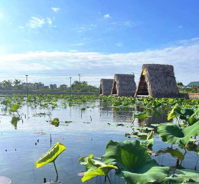 Hà Nội: Du lịch sinh thái đồng quê ‘níu chân’ du khách