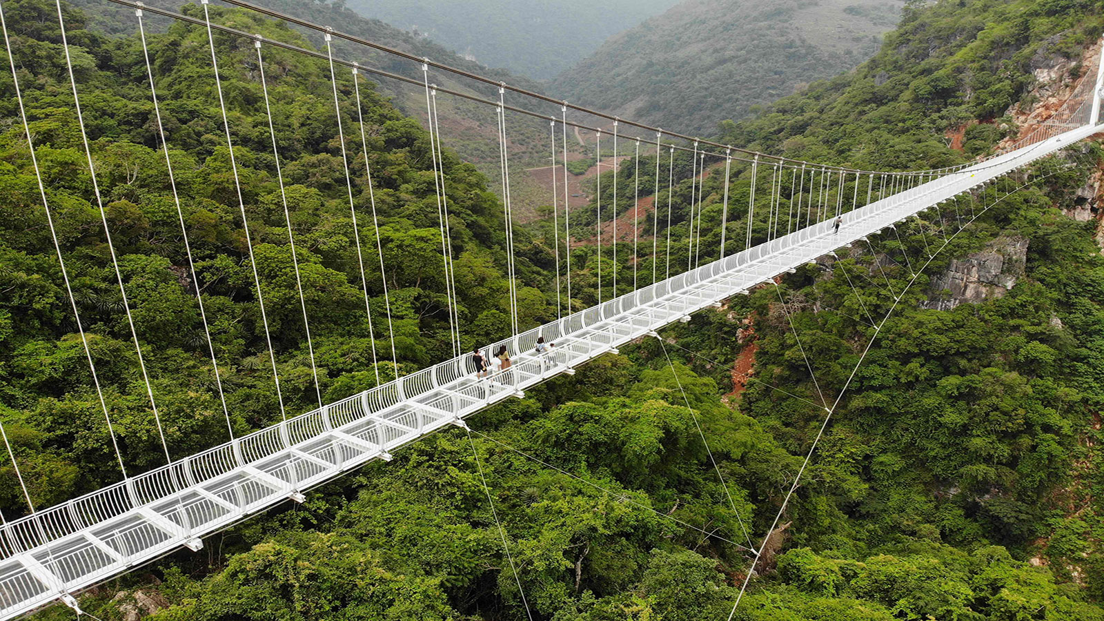 فيتنام تفتتح جسرا زجاجيا بعلو شاهق فوق إحدي غاباتها